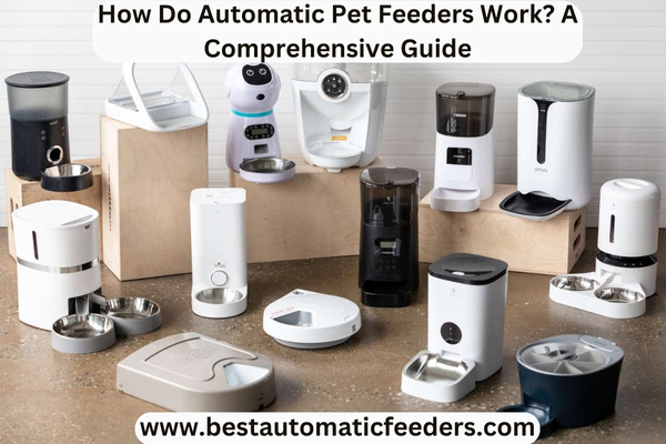 Automatic Pet Feeders