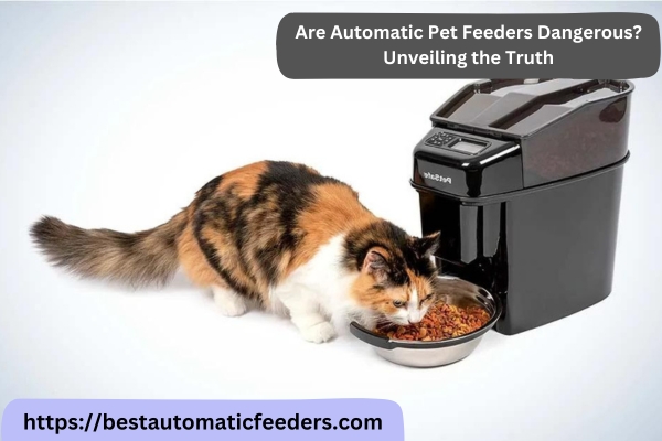 Are Automatic Pet Feeders Dangerous? Unveiling the Truth